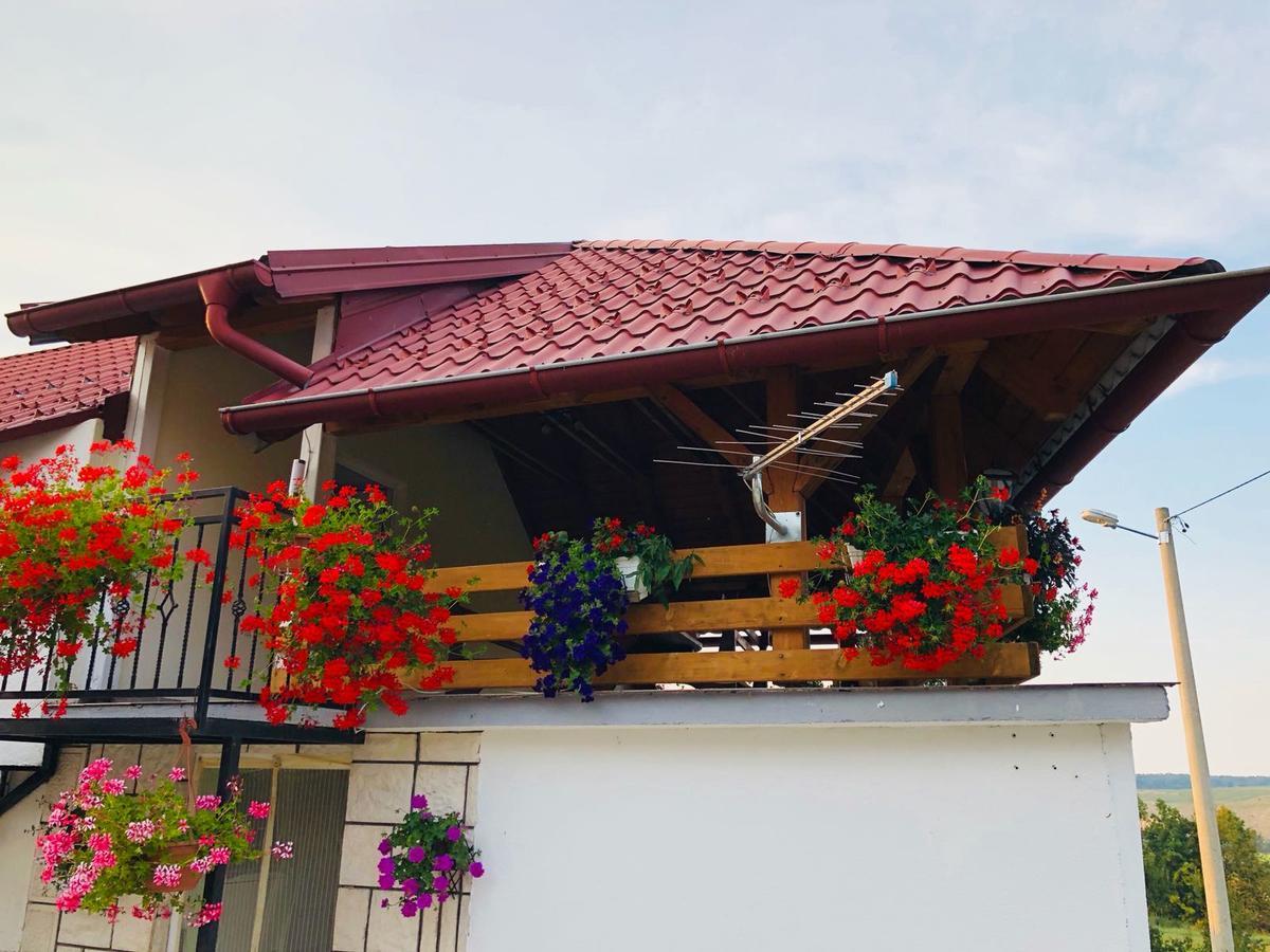 Apartment Jakovljevic Gornji Vaganac Экстерьер фото